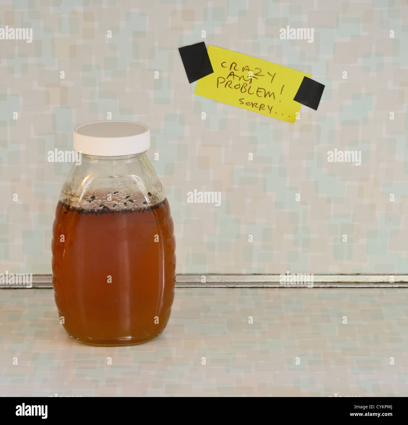 Jar of honey with ant problem sign Stock Photo Alamy