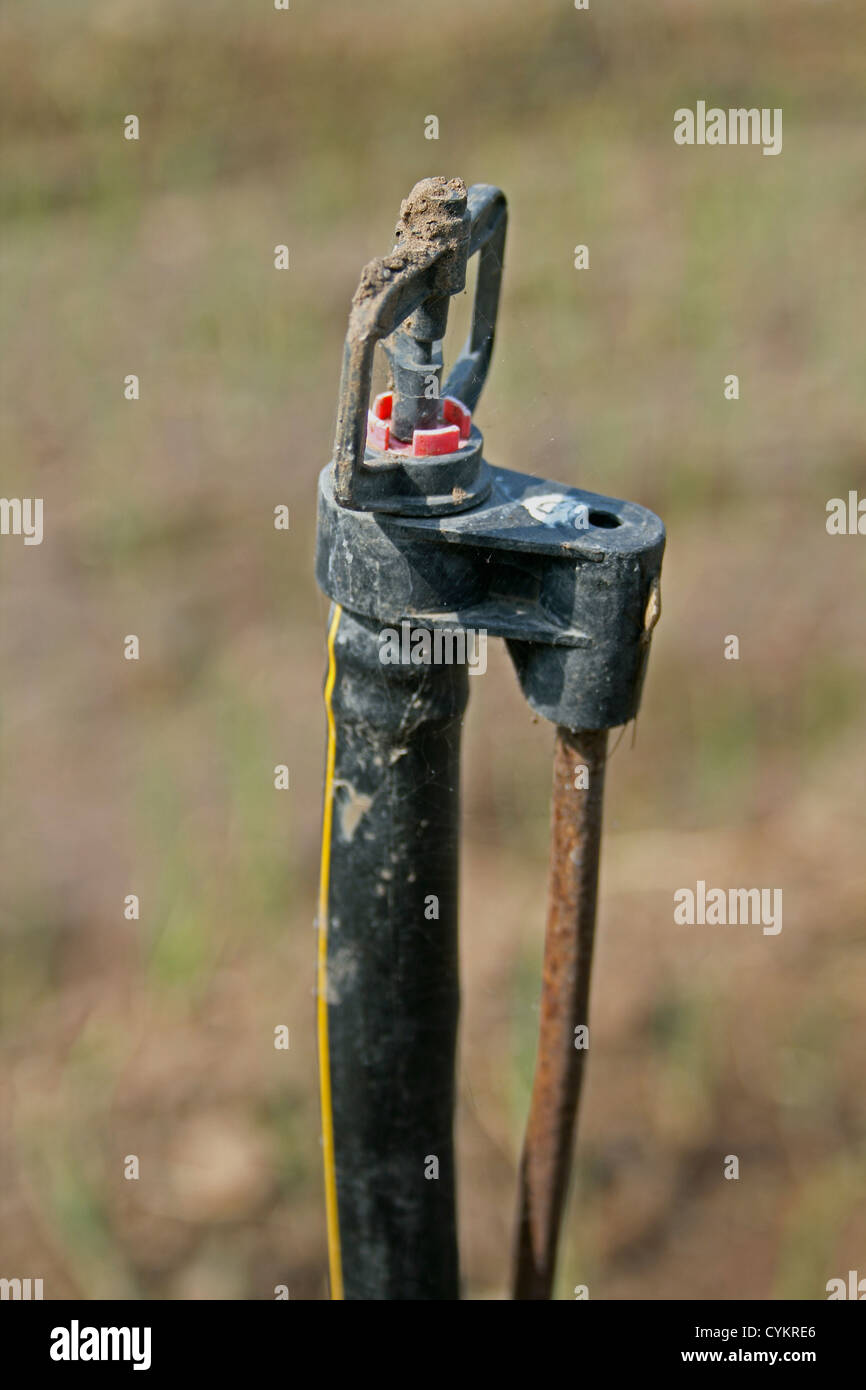 Microjet Sprinkler For Water Irrigation, India Stock Photo Alamy