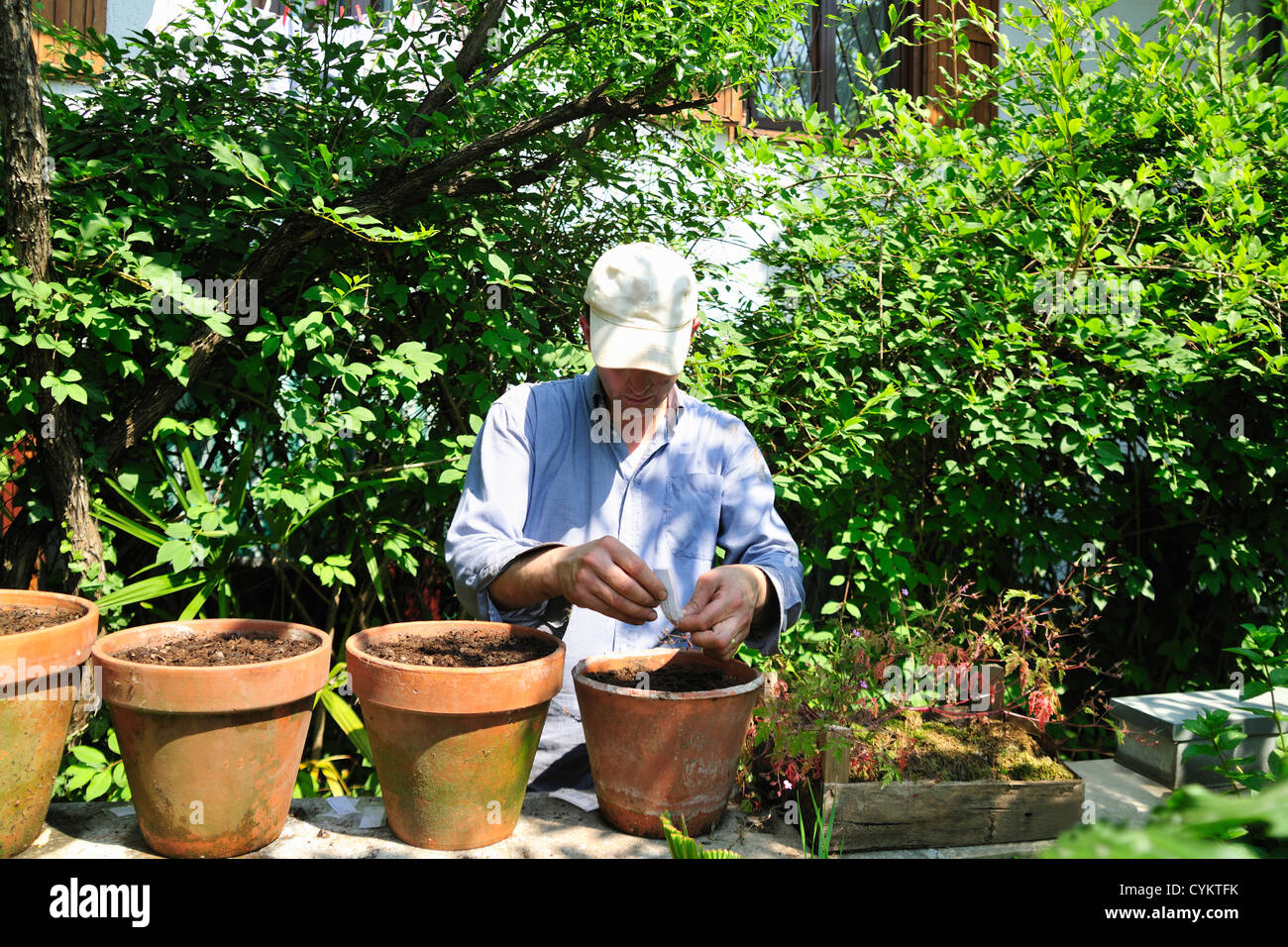 Man potting plants in backyard Stock Photo