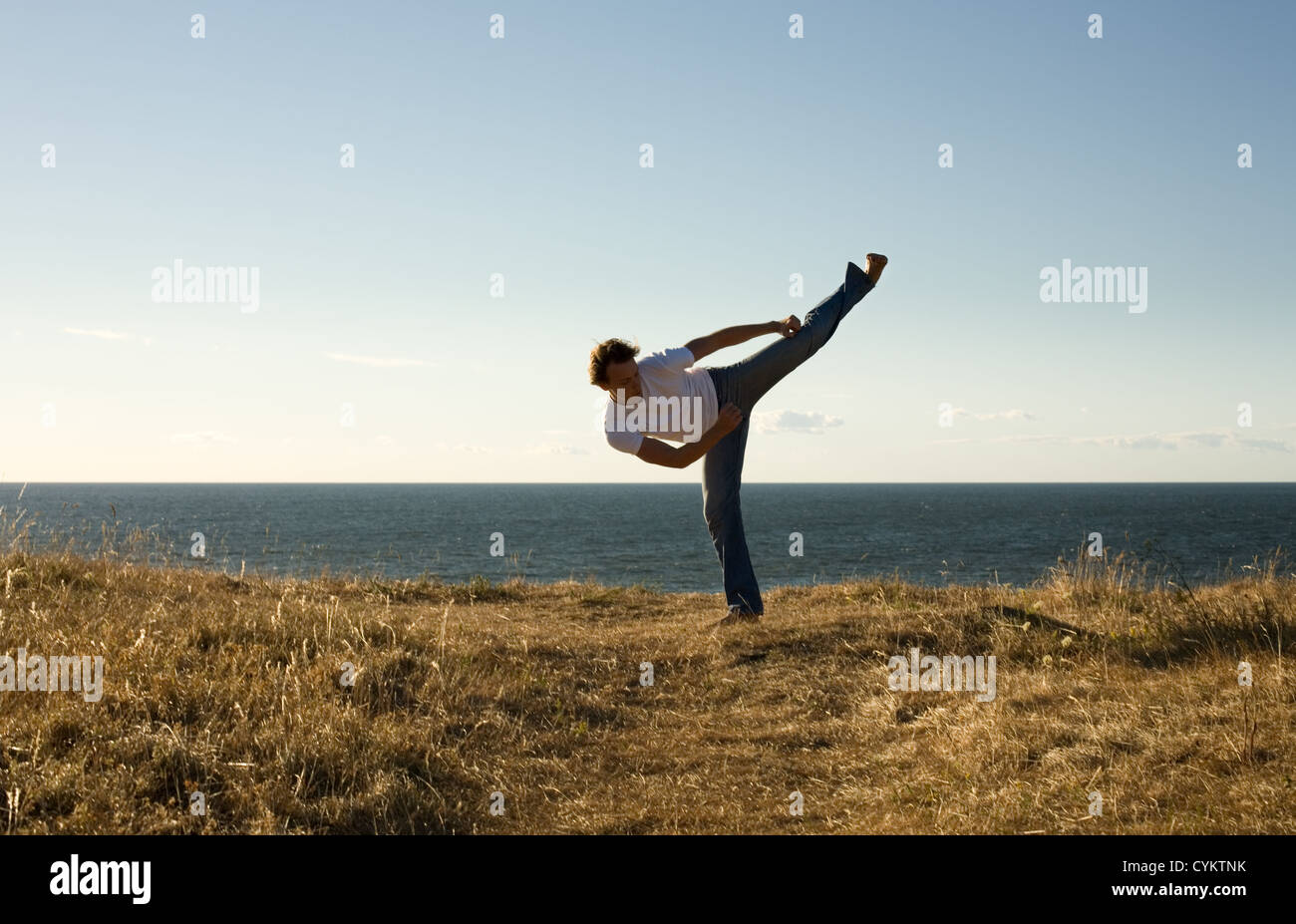 martial arts master highkicking Stock Photo Alamy