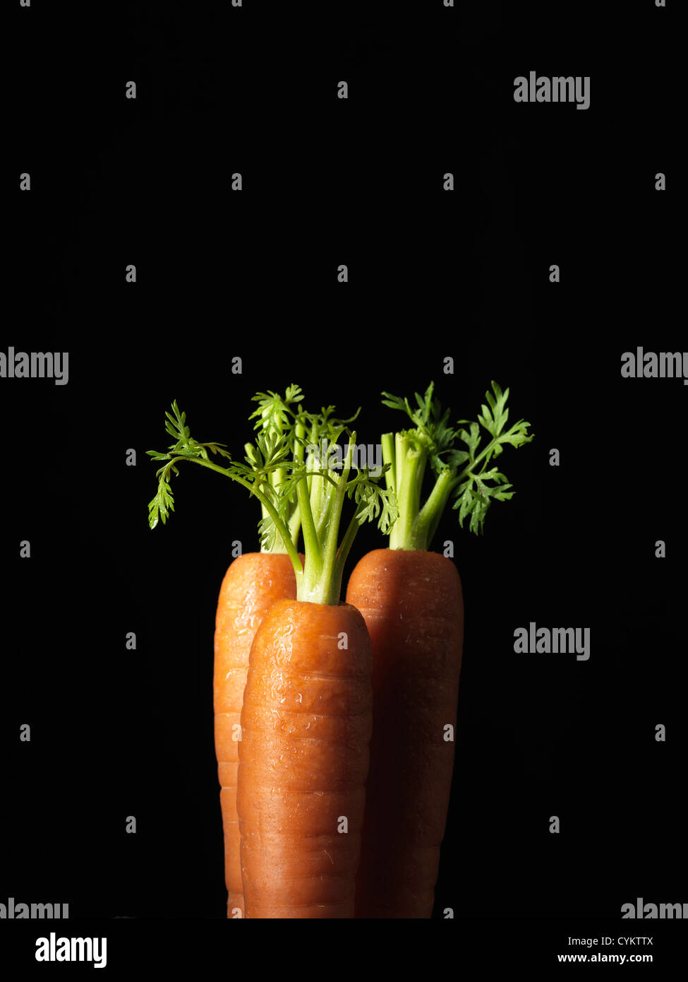Close up of trimmed carrots Stock Photo