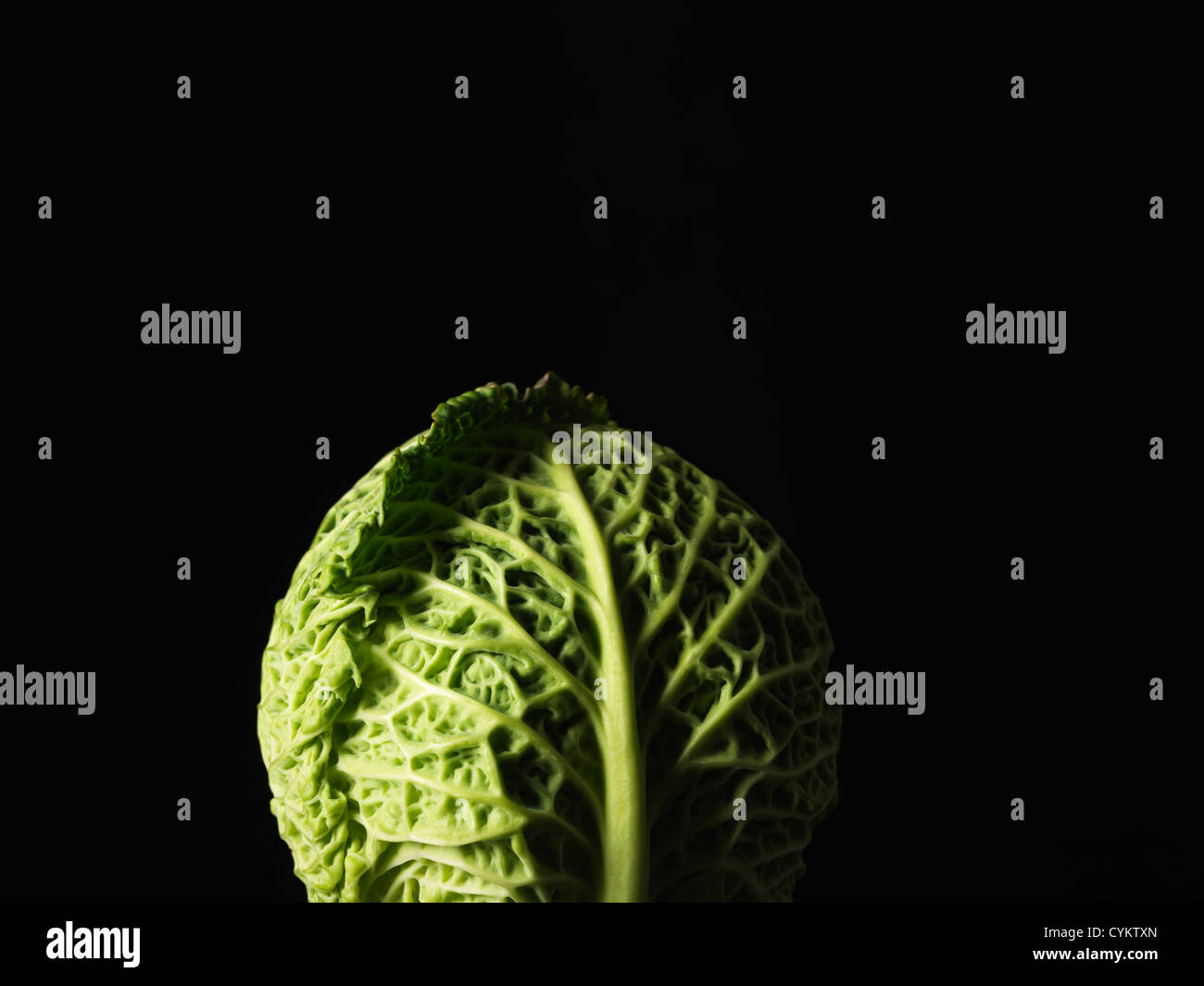 Cabbage head plant hires stock photography and images Alamy