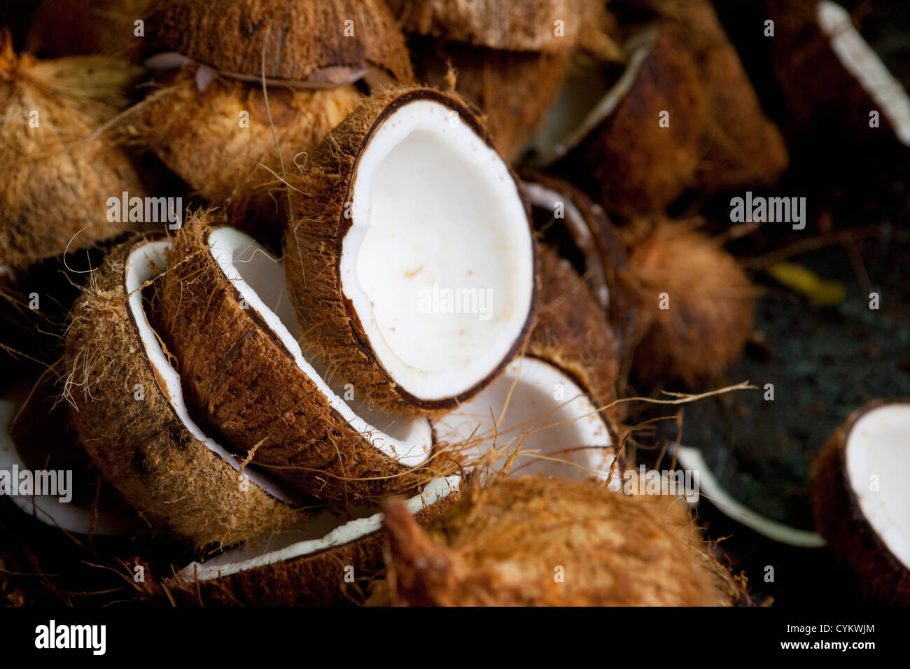Close up of halved coconuts Stock Photo
