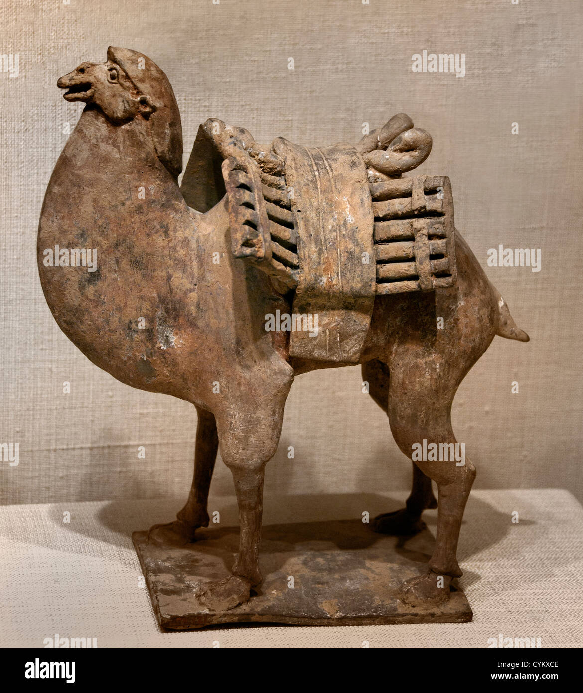 Camel Northern Wei or Northern Qi dynasty 6th century China Earthenware 24cm Stock Photo