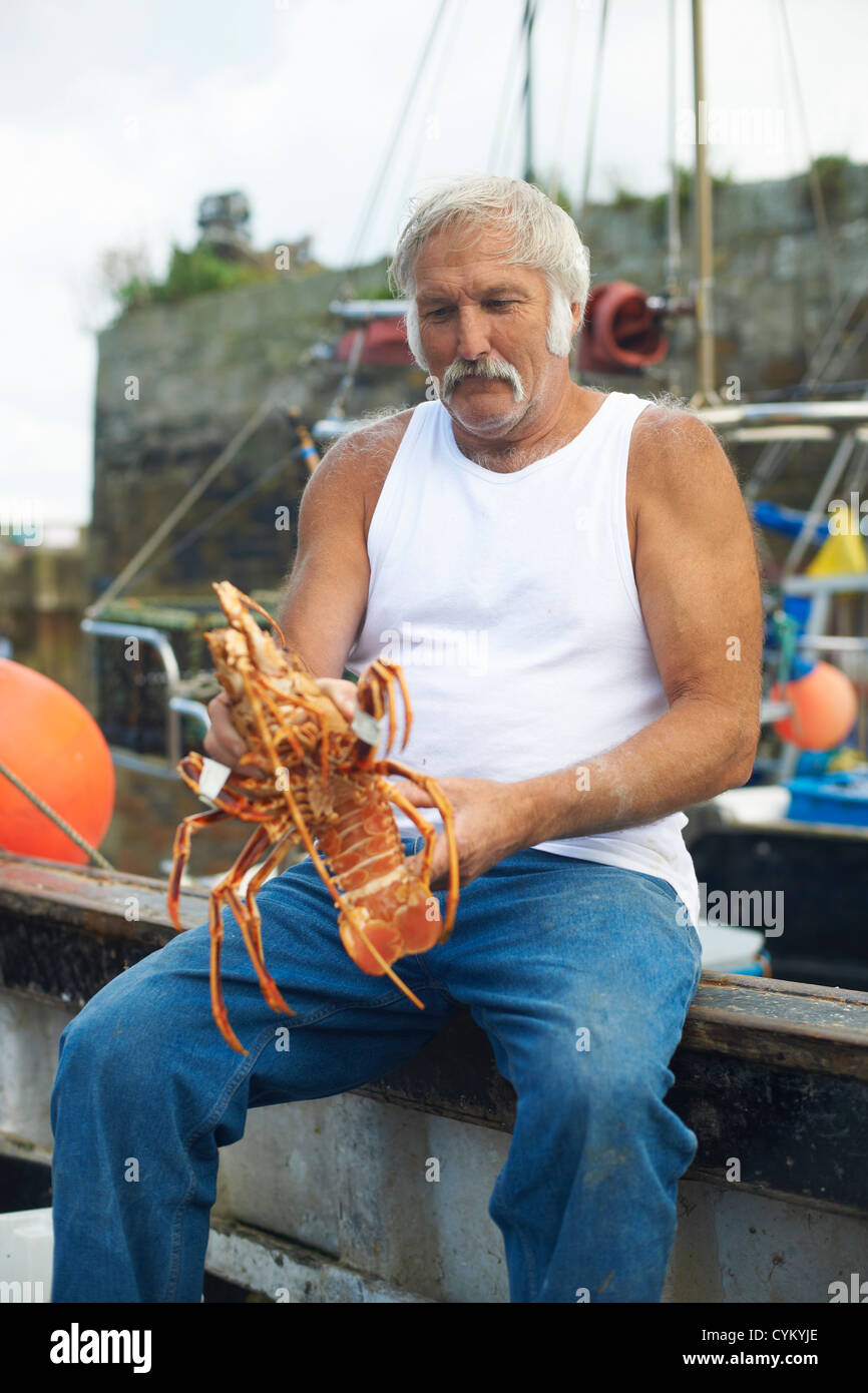 Fisherman holding lobster on boat Stock Photo Alamy