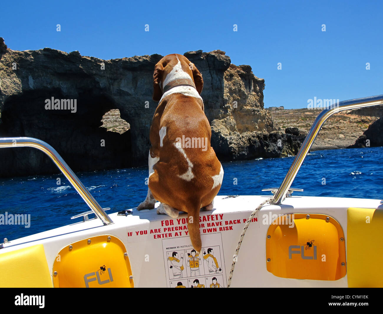 Dog Standing On Boat In Sea Stock Photo