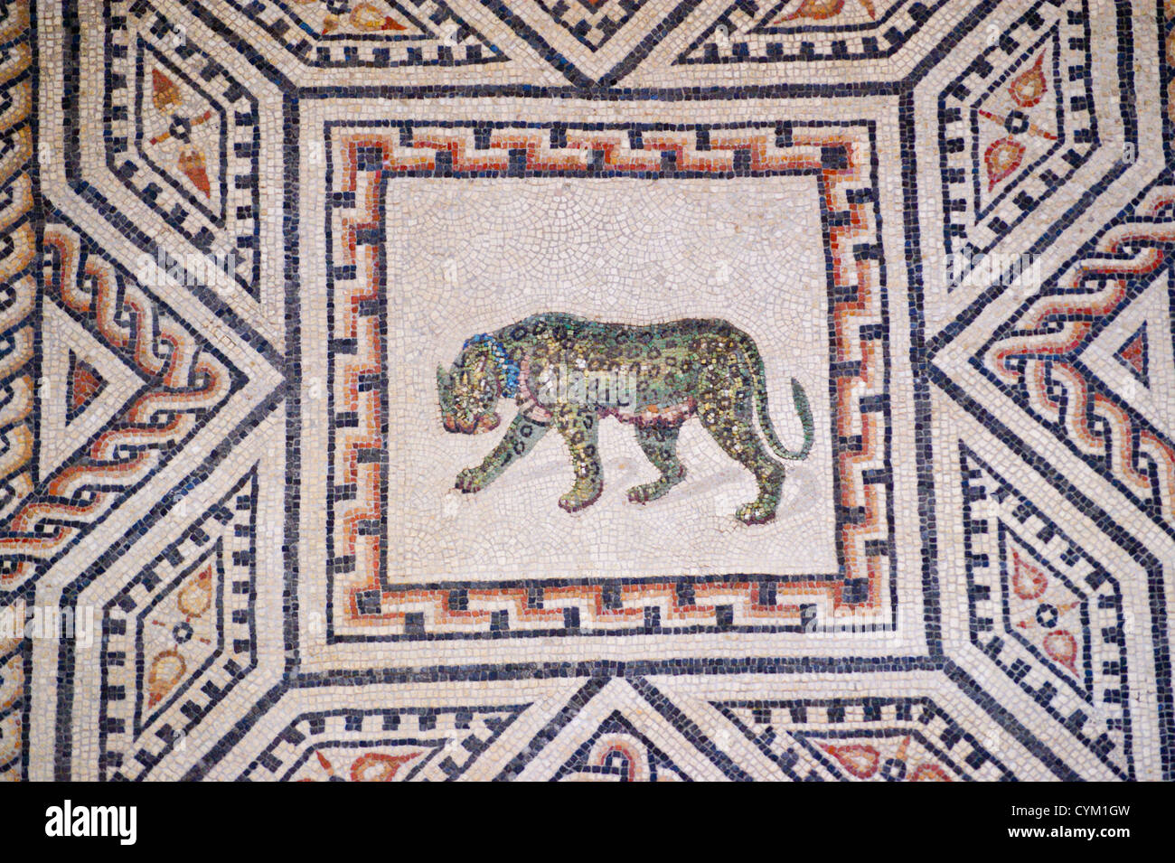 Detail of the Dionysos mosaic showing a leopard, Roman- Germanic museum, Cologne, Köln, Nordrhein-Westfalen, Germany Stock Photo