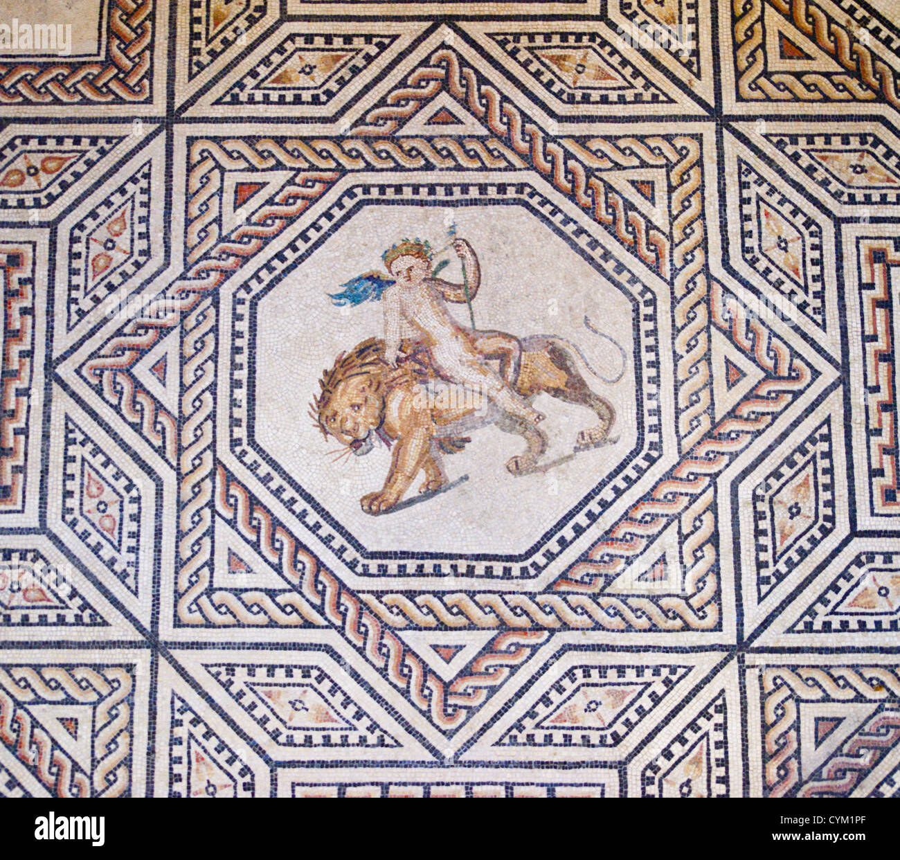 Detail of the Dionysos mosaic showing a cherub riding a lion, Roman-Germanic museum, Cologne, Köln, Nordrhein-Westfalen, Germany Stock Photo