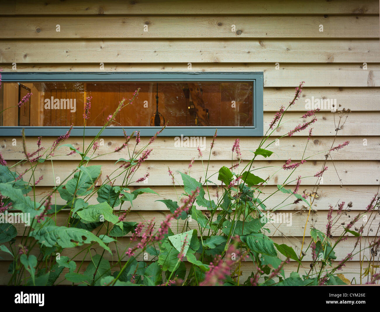 Garden Office, Berkhamsted, United Kingdom. Architect Sdp Design, 2012