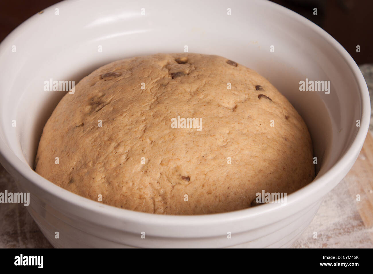 Close-up of a bread dough with sultanas or raisins rising in a white bowl. Stock Photo