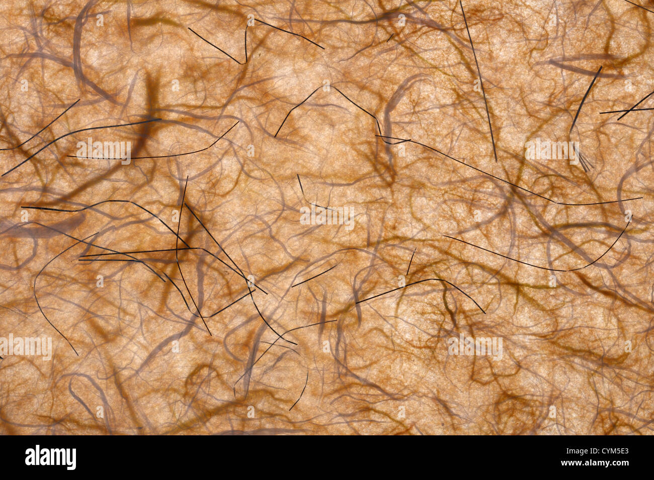 Mulberry Paper Texture Stock Photo - Download Image Now - Paper