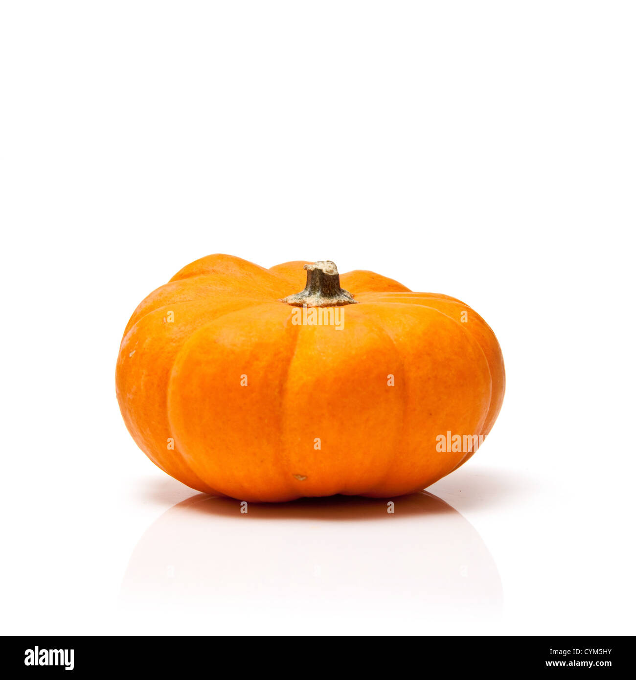 Small orange pumpkin isolated on a white studio background. Stock Photo