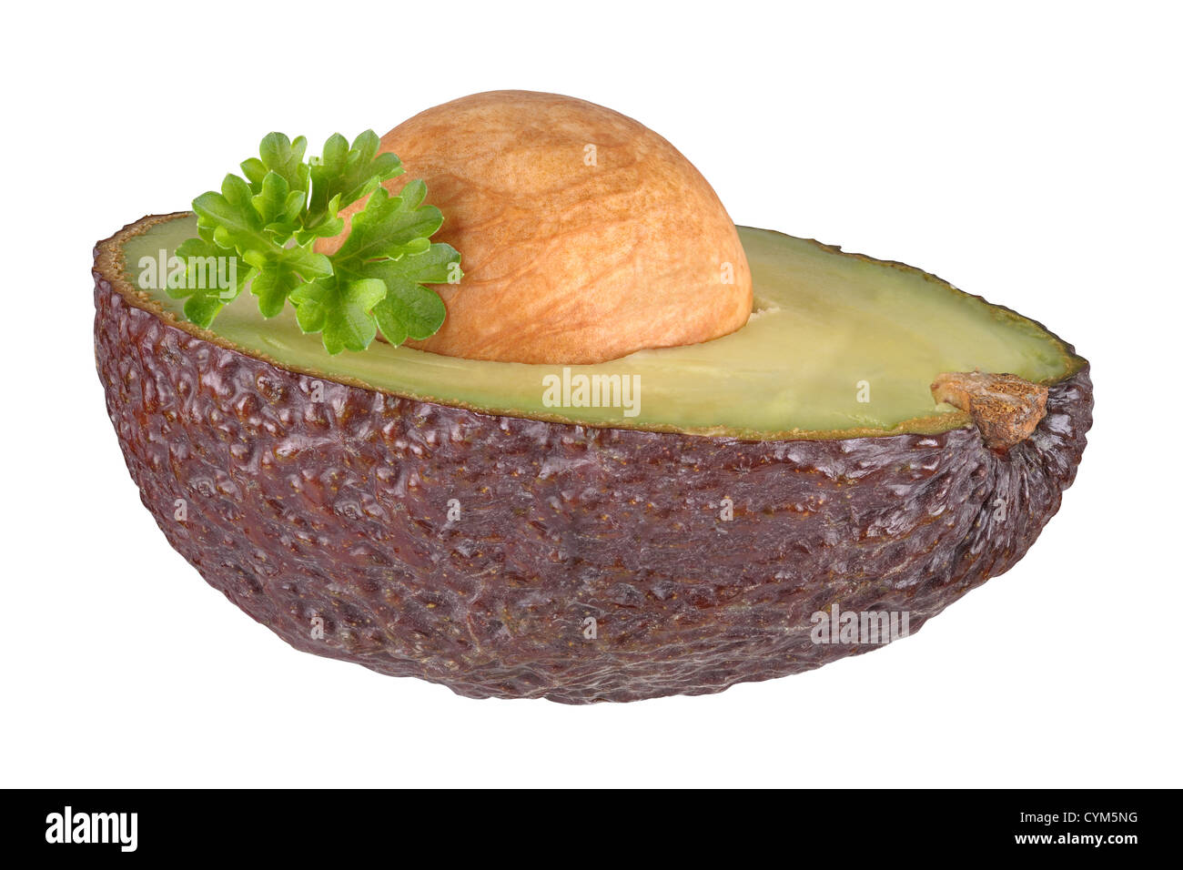Halved avocado with stone and parsley decoration Stock Photo
