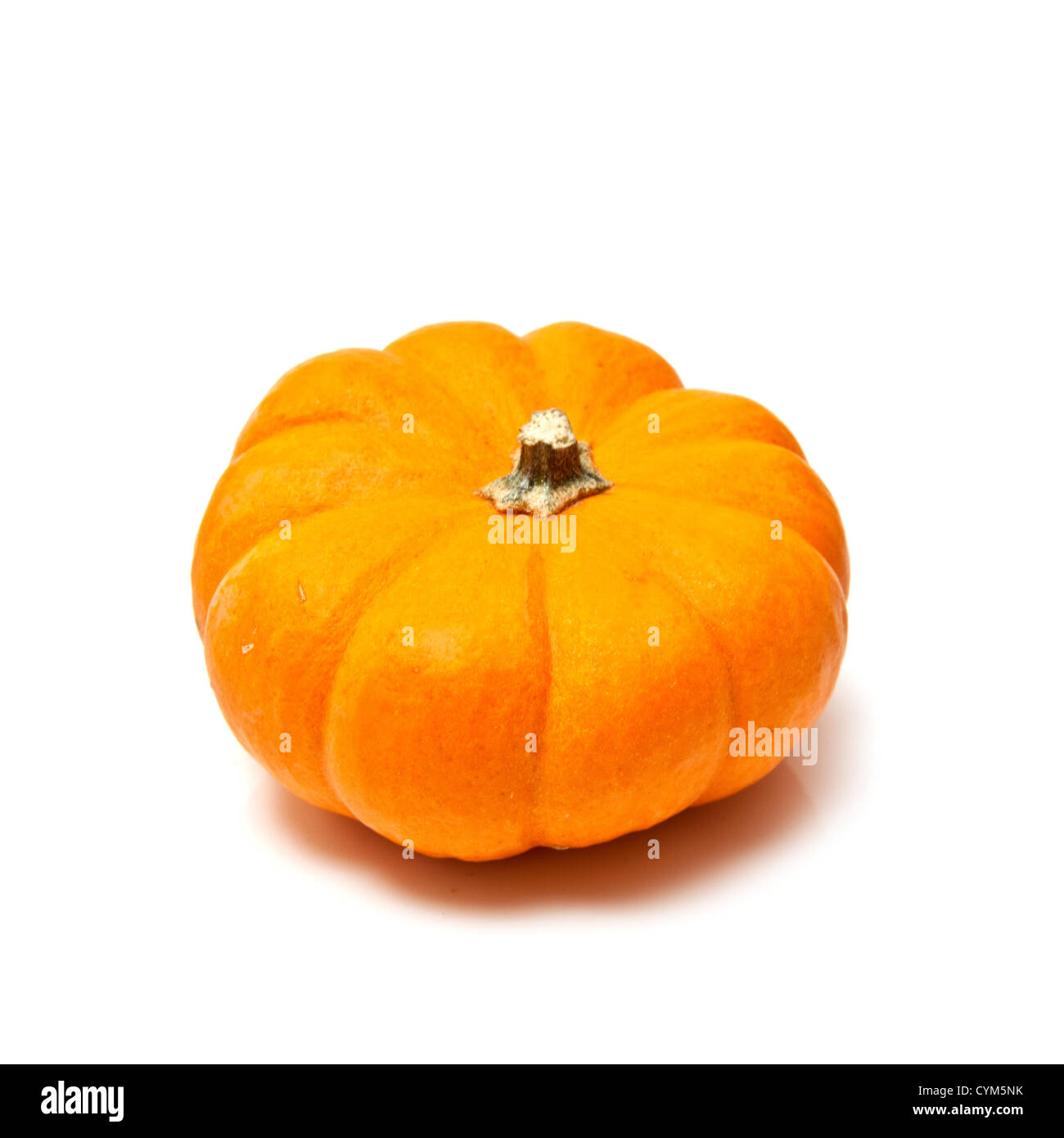 Small orange pumpkin isolated on a white studio background. Stock Photo