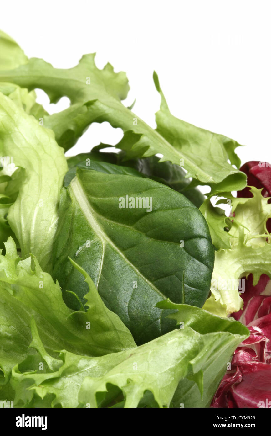fresh green leafy salad with tatsoi, clouse-up, isolated Stock Photo