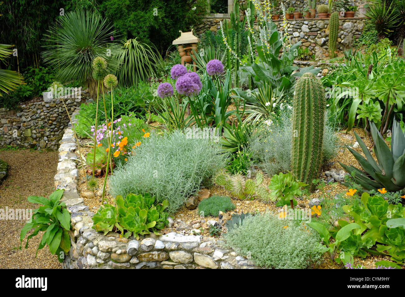 A view of the Xerophytic garden (Desert & Arid) at the Exotic Garden in Norwich. Stock Photo