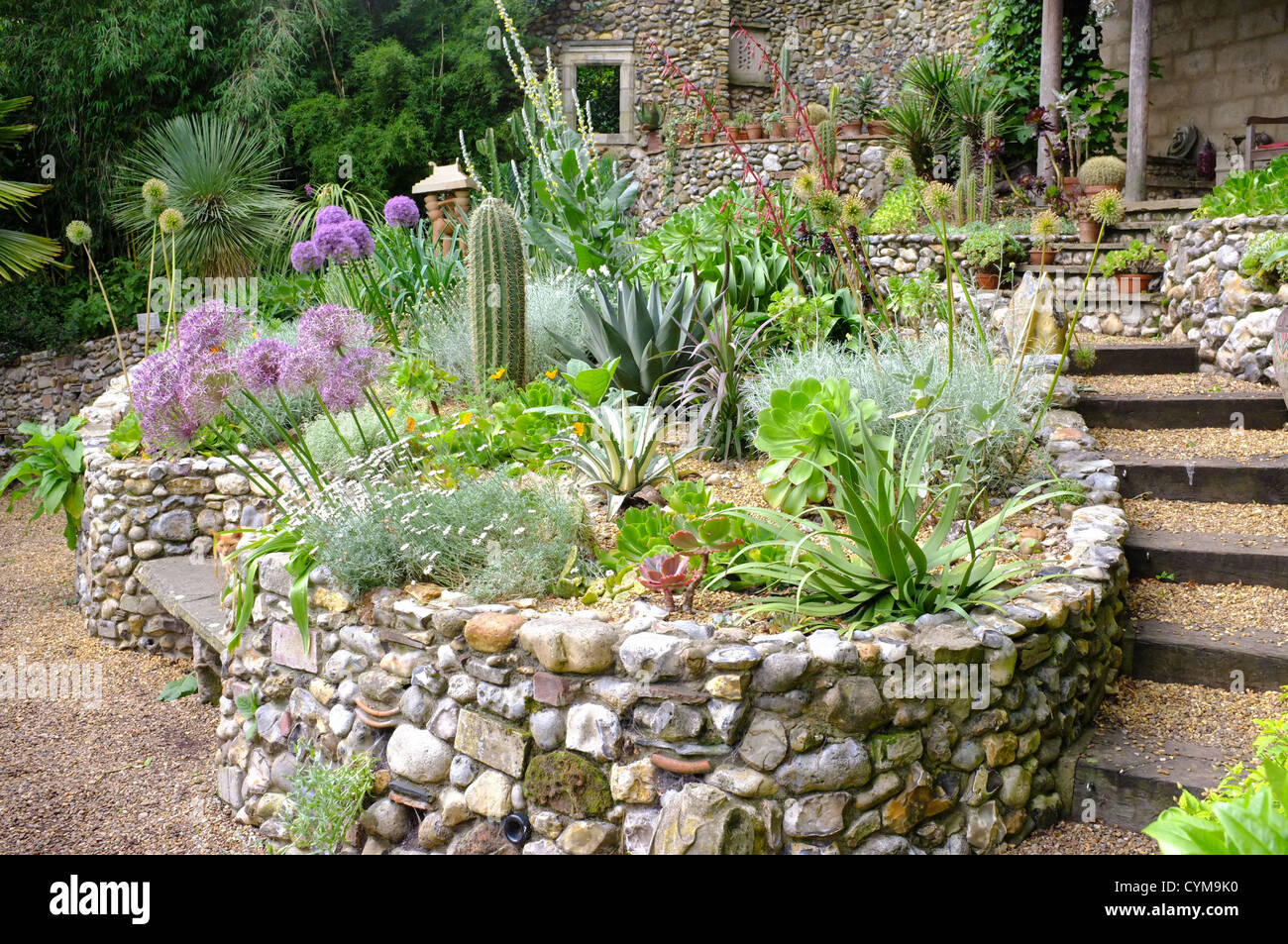 A view of the Xerophytic garden (Desert & Arid) at the Exotic Garden in Norwich. Stock Photo
