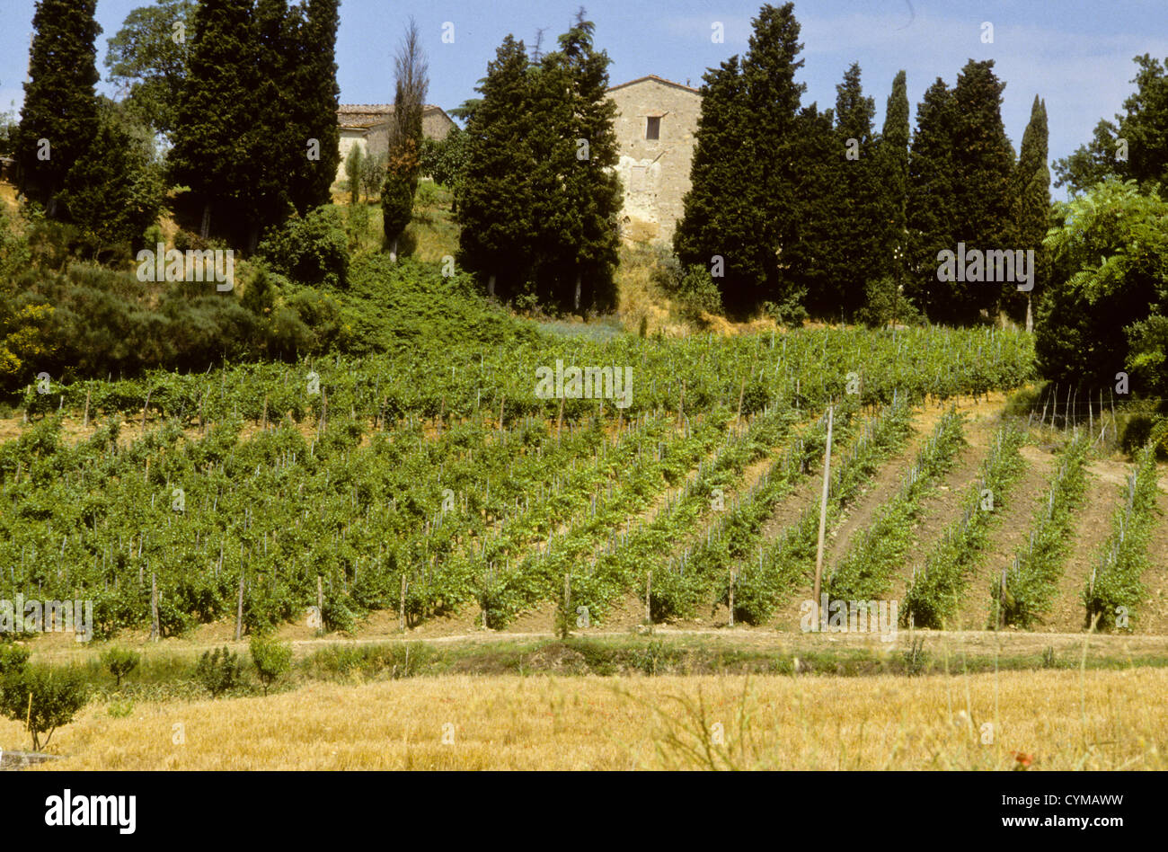 Hilltop Towns Villages Ancient Roman Remains Agriculture Wine Growing