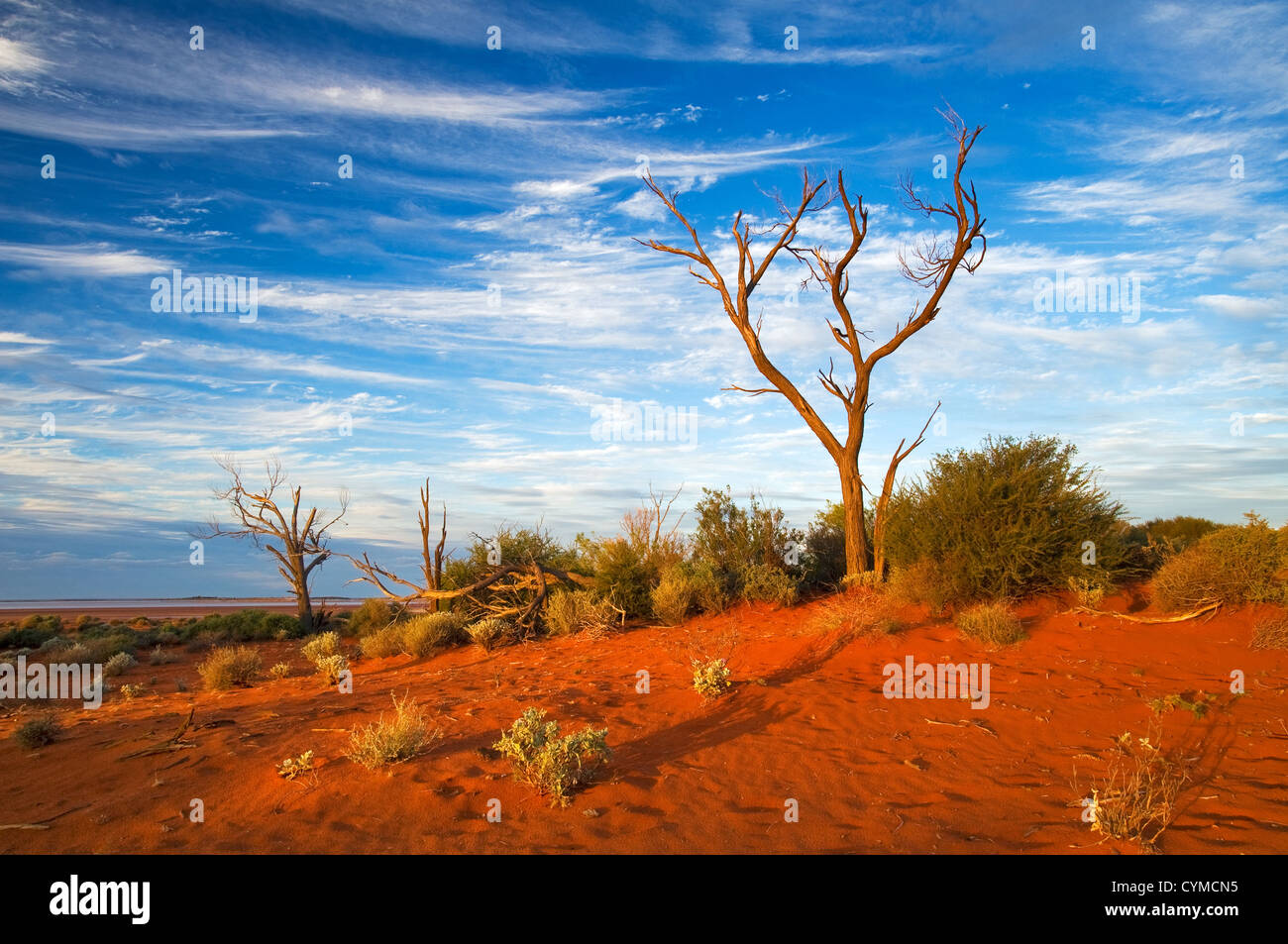 Red Dunes of Lake Ballard in Western Australia's desert. Stock Photo