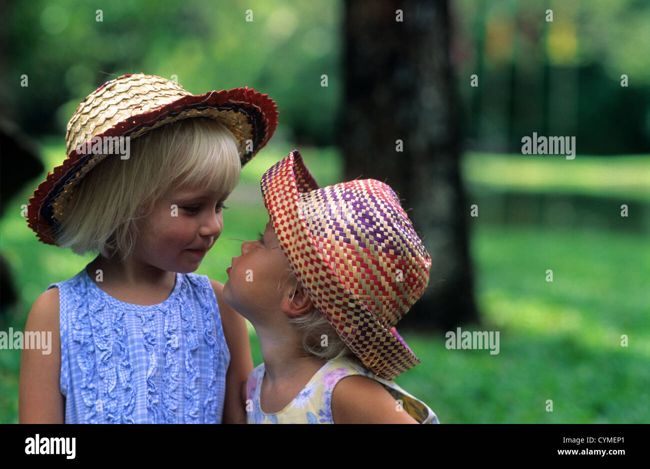 Children, two little girls kissing. Stock Photo
