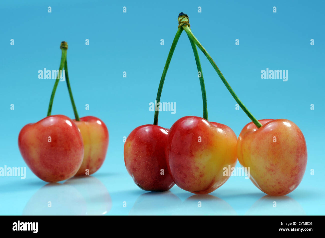 Five Cherries Stock Photo