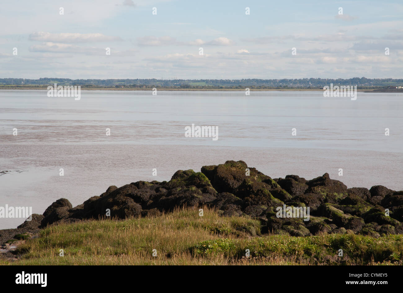 river estuary low tide rocks sunlit blue sky white clouds sunny Stock Photo