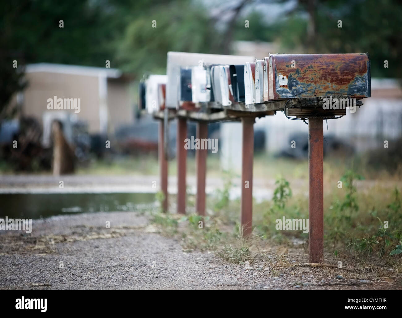 Rural mailboxes in a row alongside a country road Stock Photo Alamy