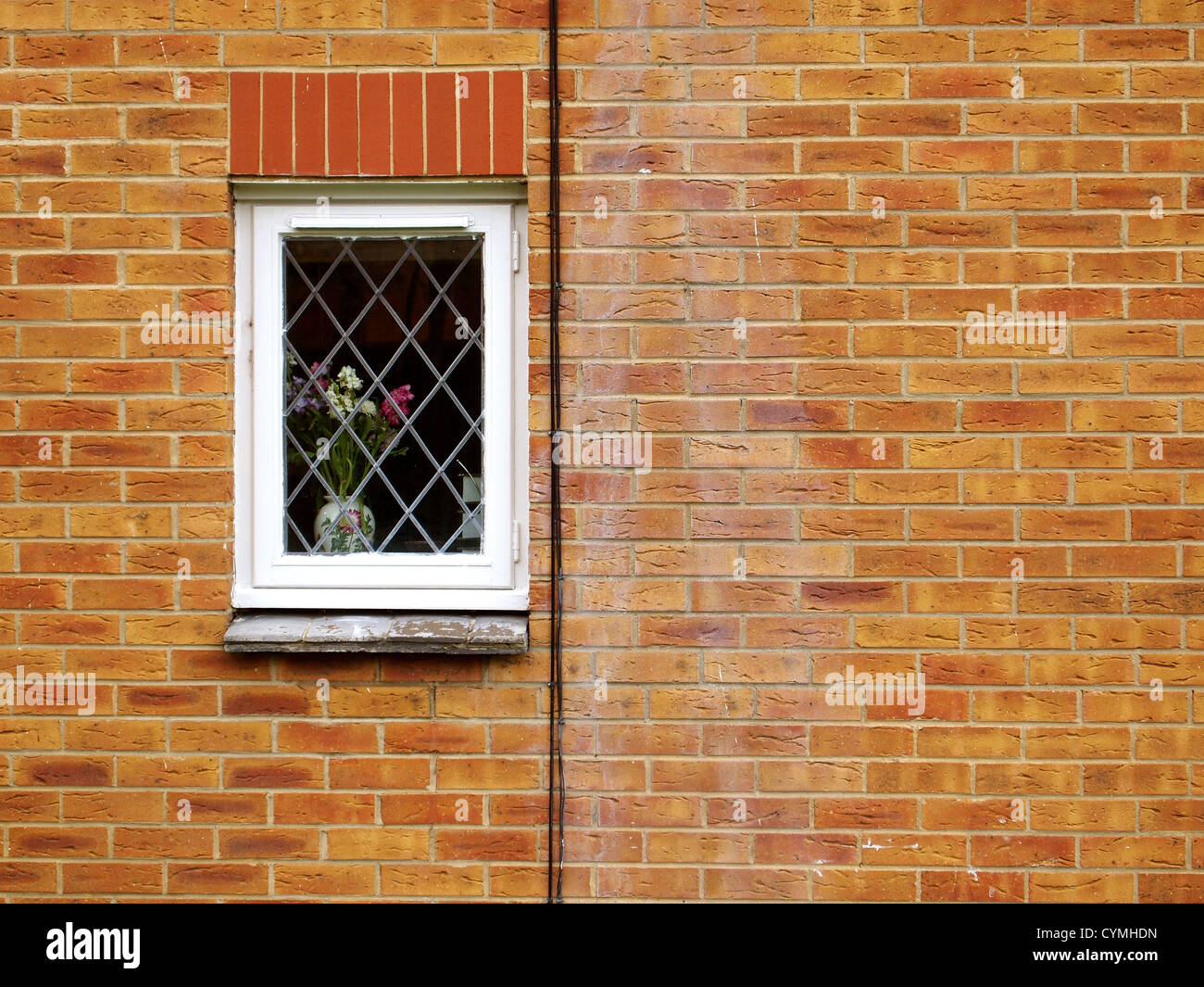 Flower in the window Stock Photo Alamy