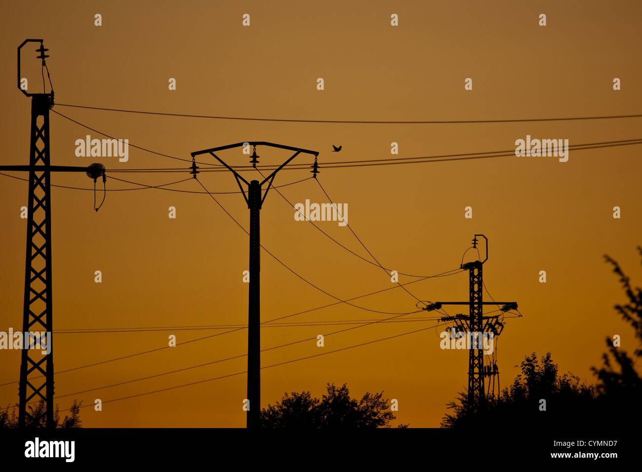 Group of electrical post Stock Photo - Alamy