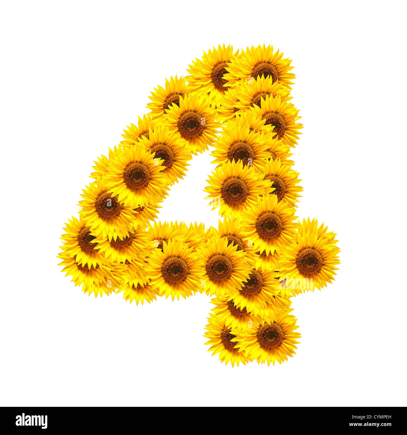 flower alphabet and numbers with sunflowers isolated on white Stock