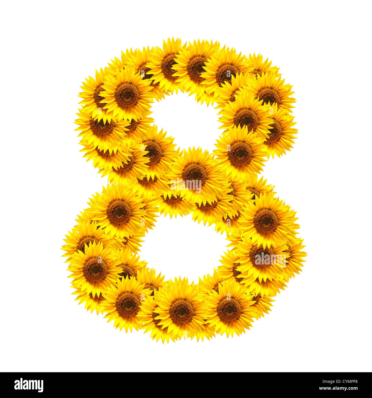 flower alphabet and numbers with sunflowers isolated on white