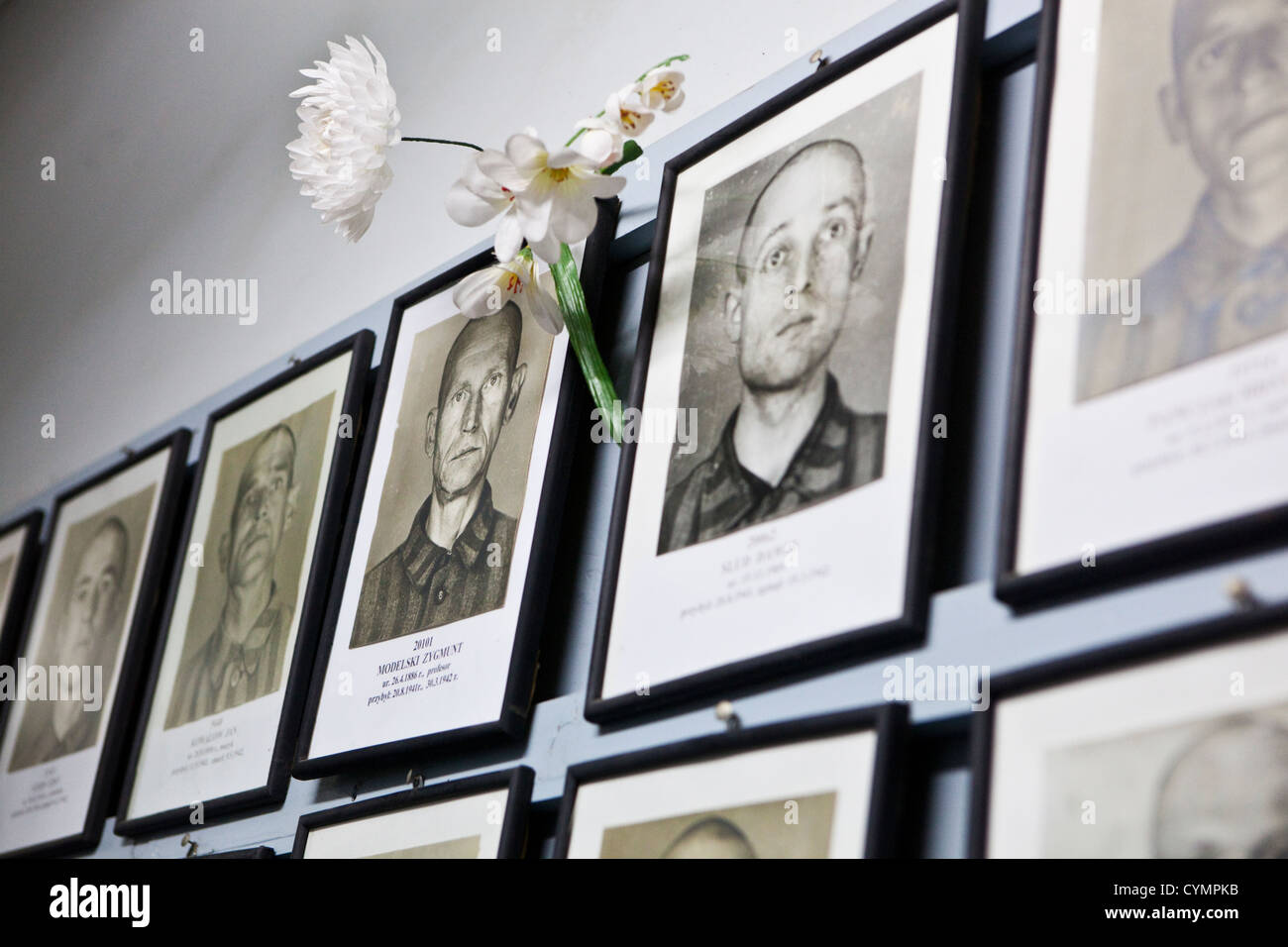 Framed photographs of male camp inmates with flower offering, Auschwitz