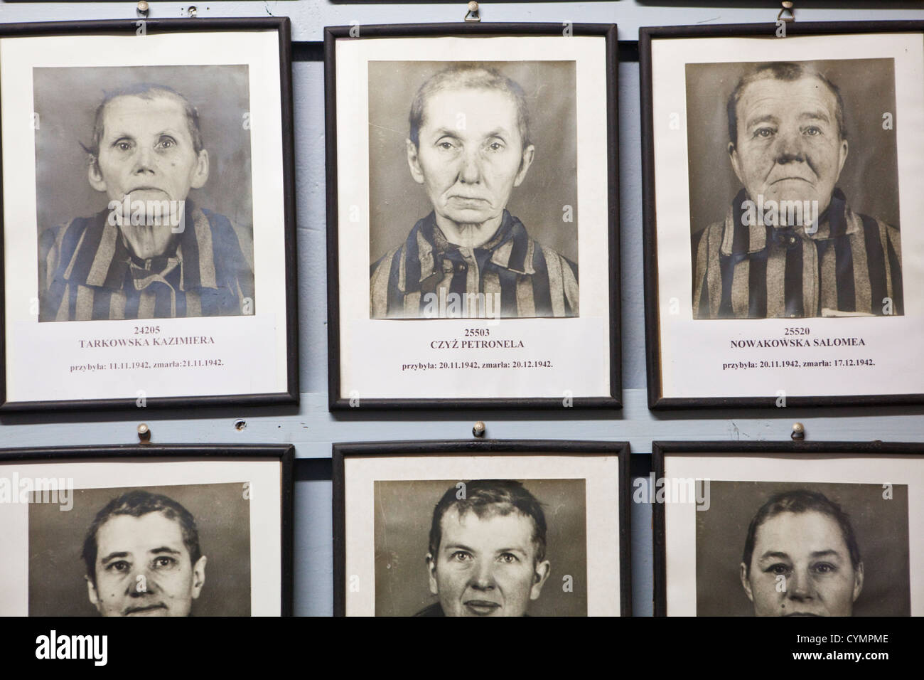 Framed photographs of female camp inmates, Auschwitz, Poland. Stock Photo