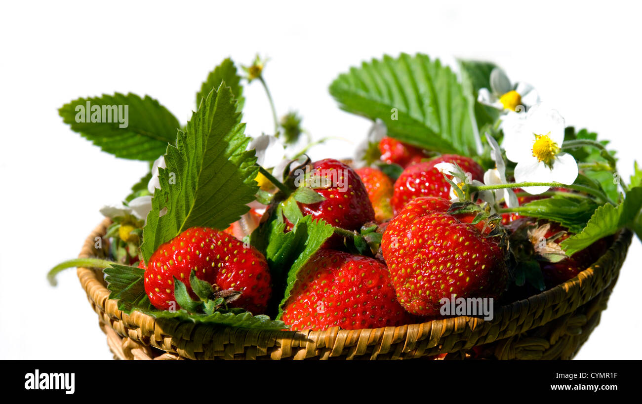 fresh strawberry basket Stock Photo