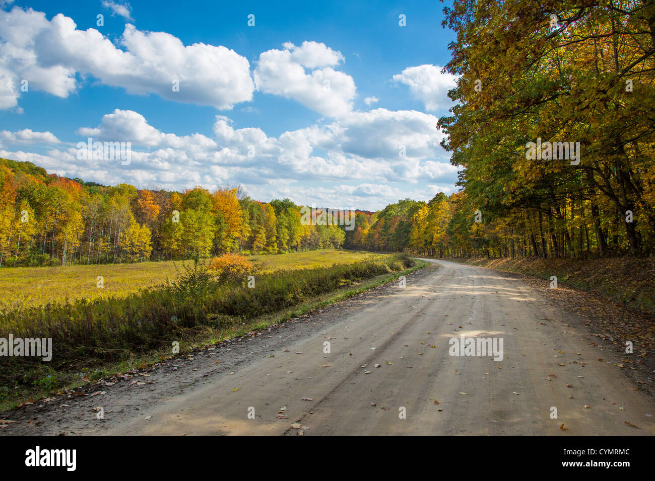 Road in Western New York State at the peak of fall color season Stock