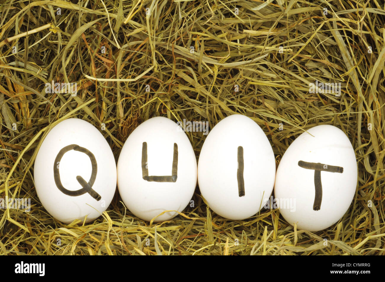 quit written on eggs in hey or straw Stock Photo