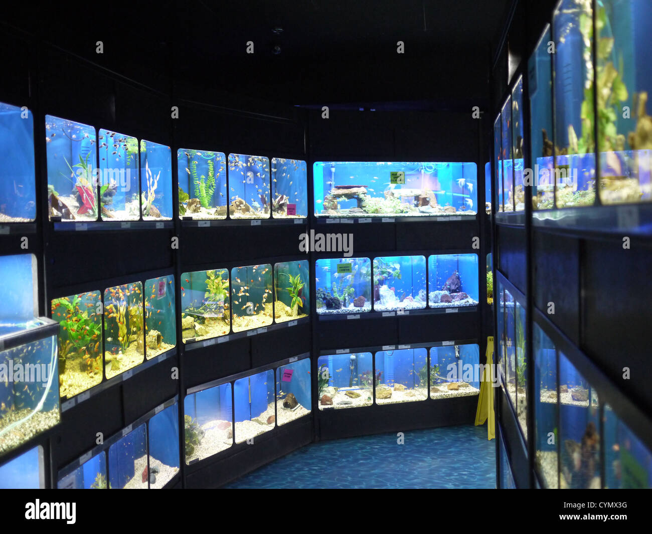 Fish Stores In My Area Deals
