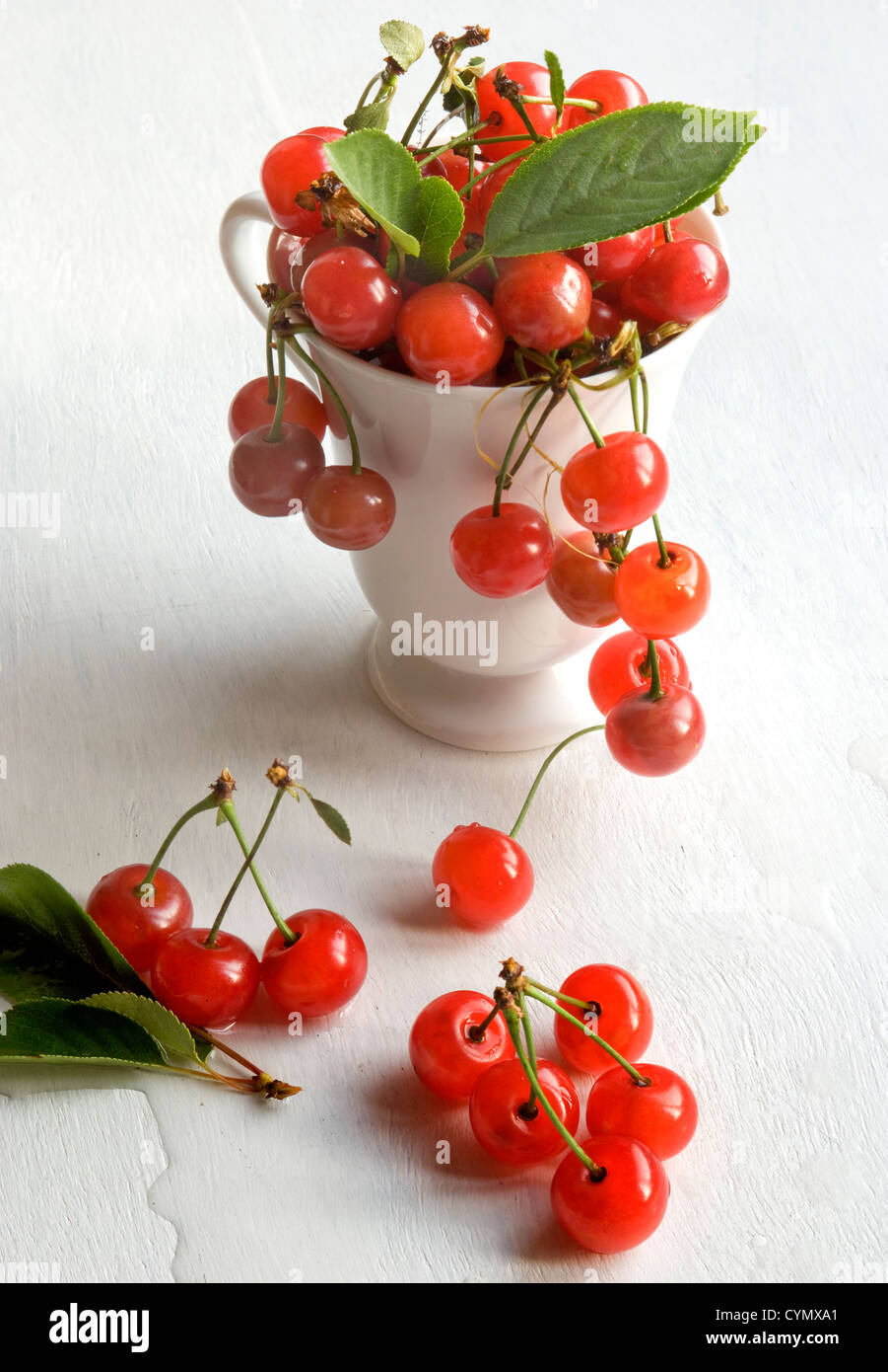 fresh cherry in white mug Stock Photo