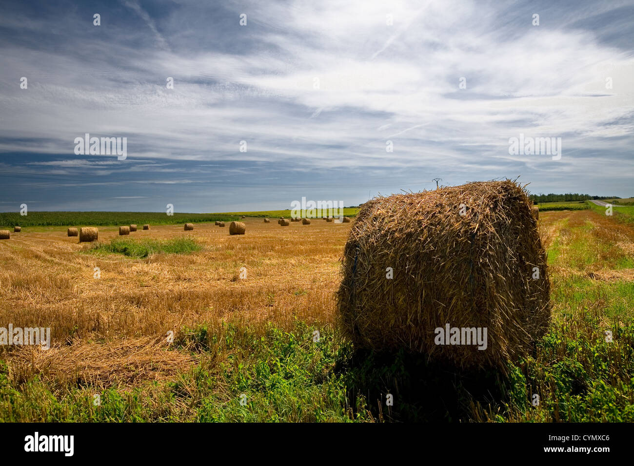 Straw bales on farmland with blue cloudy sky Stock Photo - Alamy
