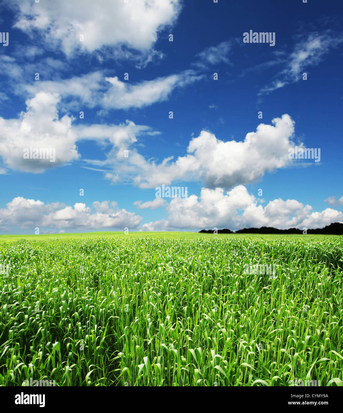 Large corn field mountain hi-res stock photography and images - Alamy