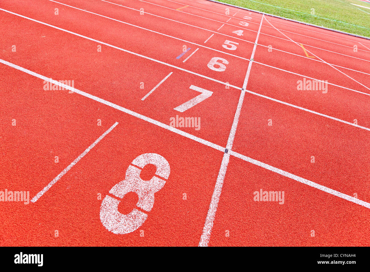 Running track start line Stock Photo Alamy