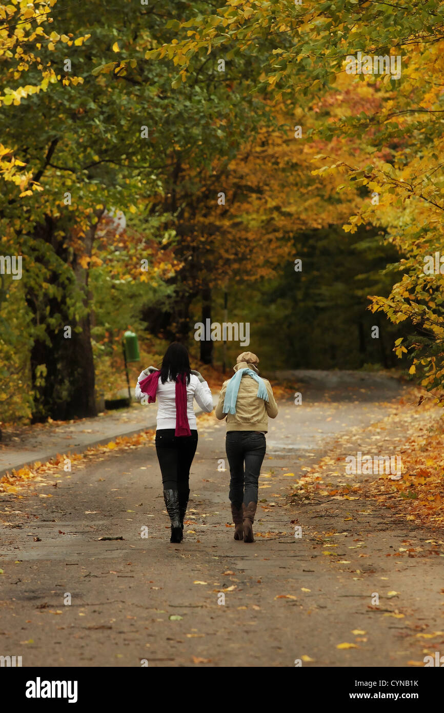 Two girlfriends goes for a walk in the autumnal park Stock Photo - Alamy