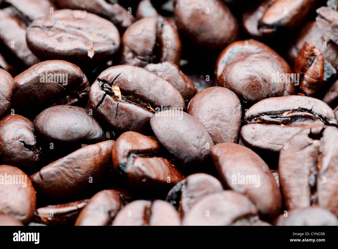 coffee bean close up Stock Photo Alamy