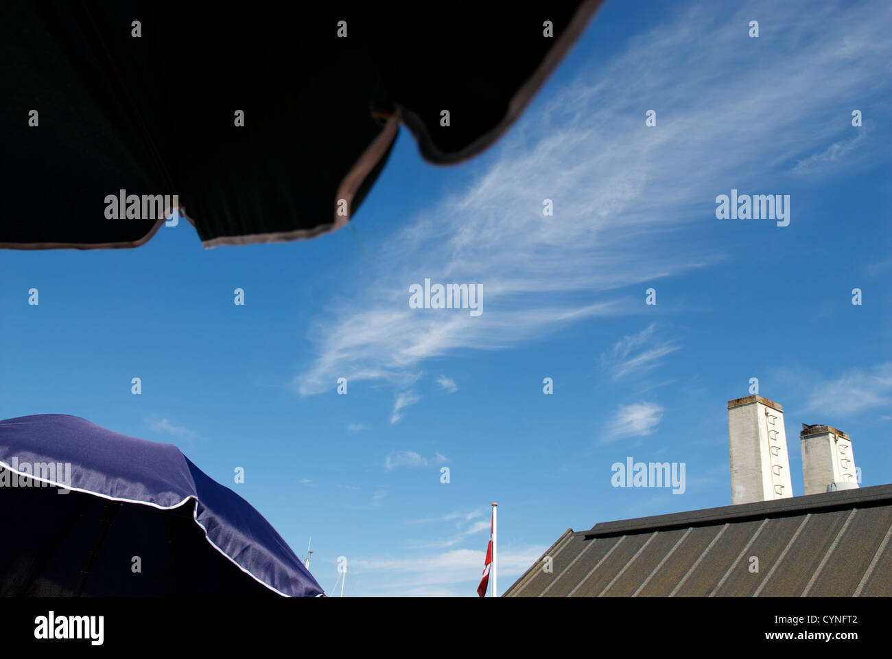 Rogeri hires stock photography and images Alamy