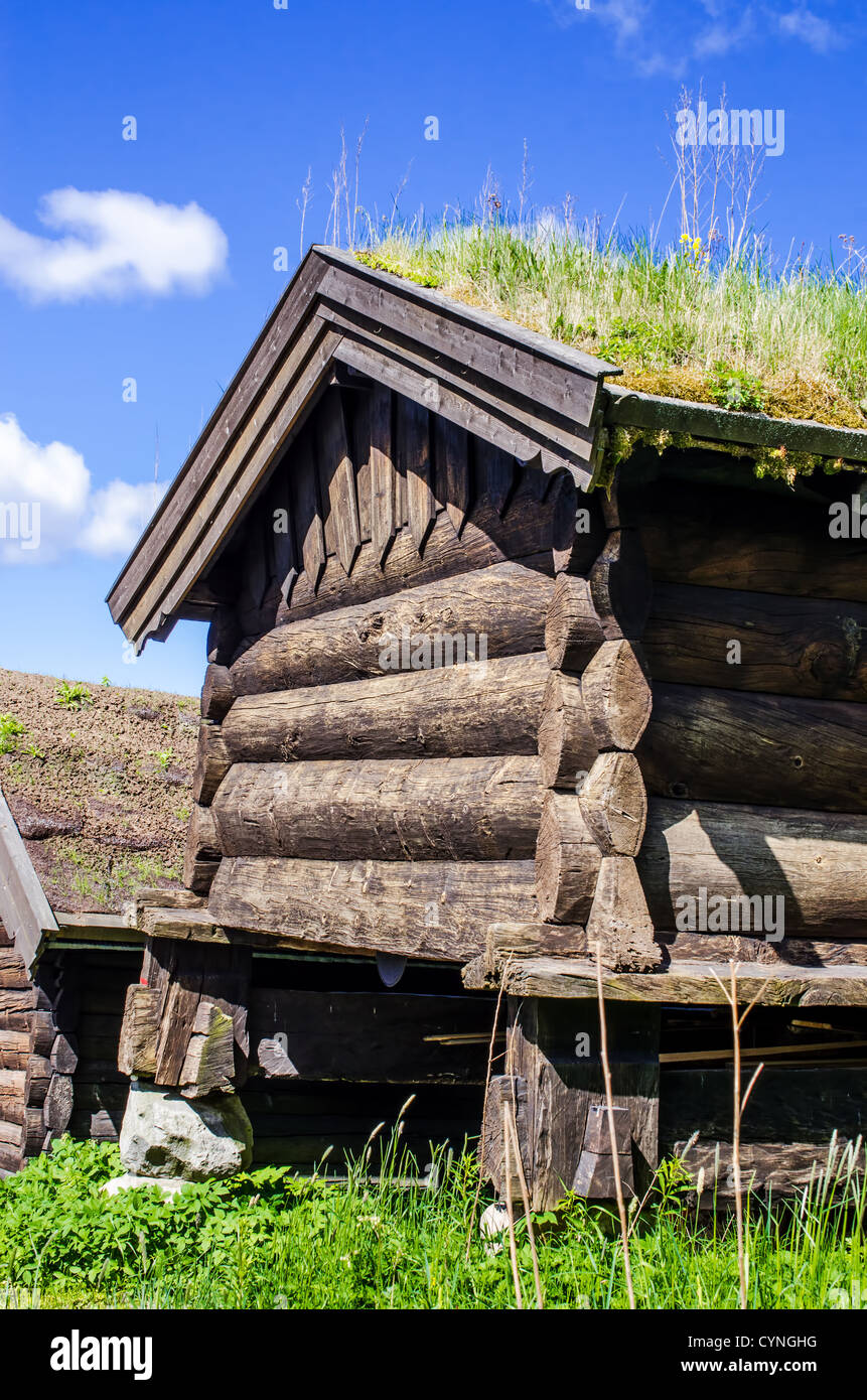 Norwegian typical house with  grass roof Stock Photo