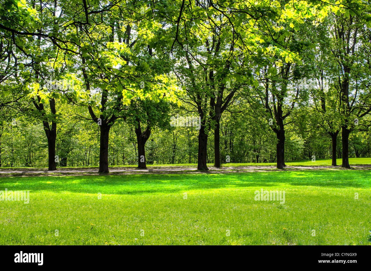 Tree line in Vigeland park in Oslo, Norway Stock Photo