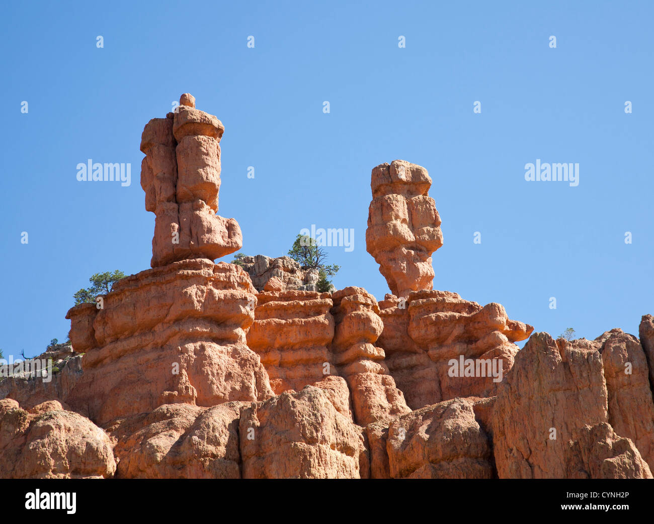 Weathering erosion on the rocks hi-res stock photography and images - Alamy