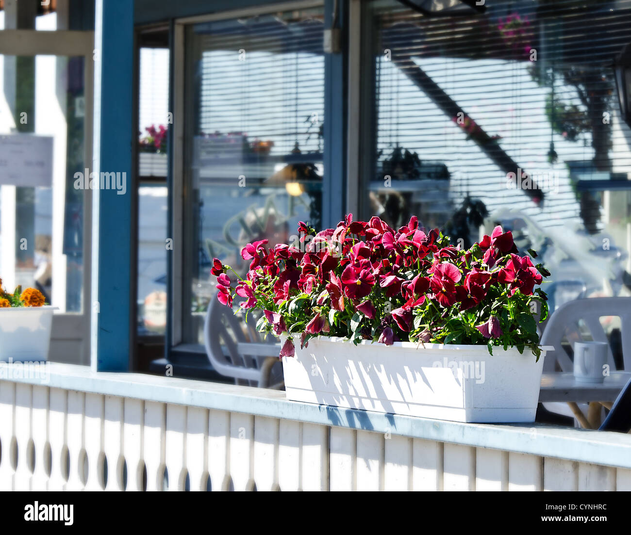 Decorated flower pot  on terrace Stock Photo