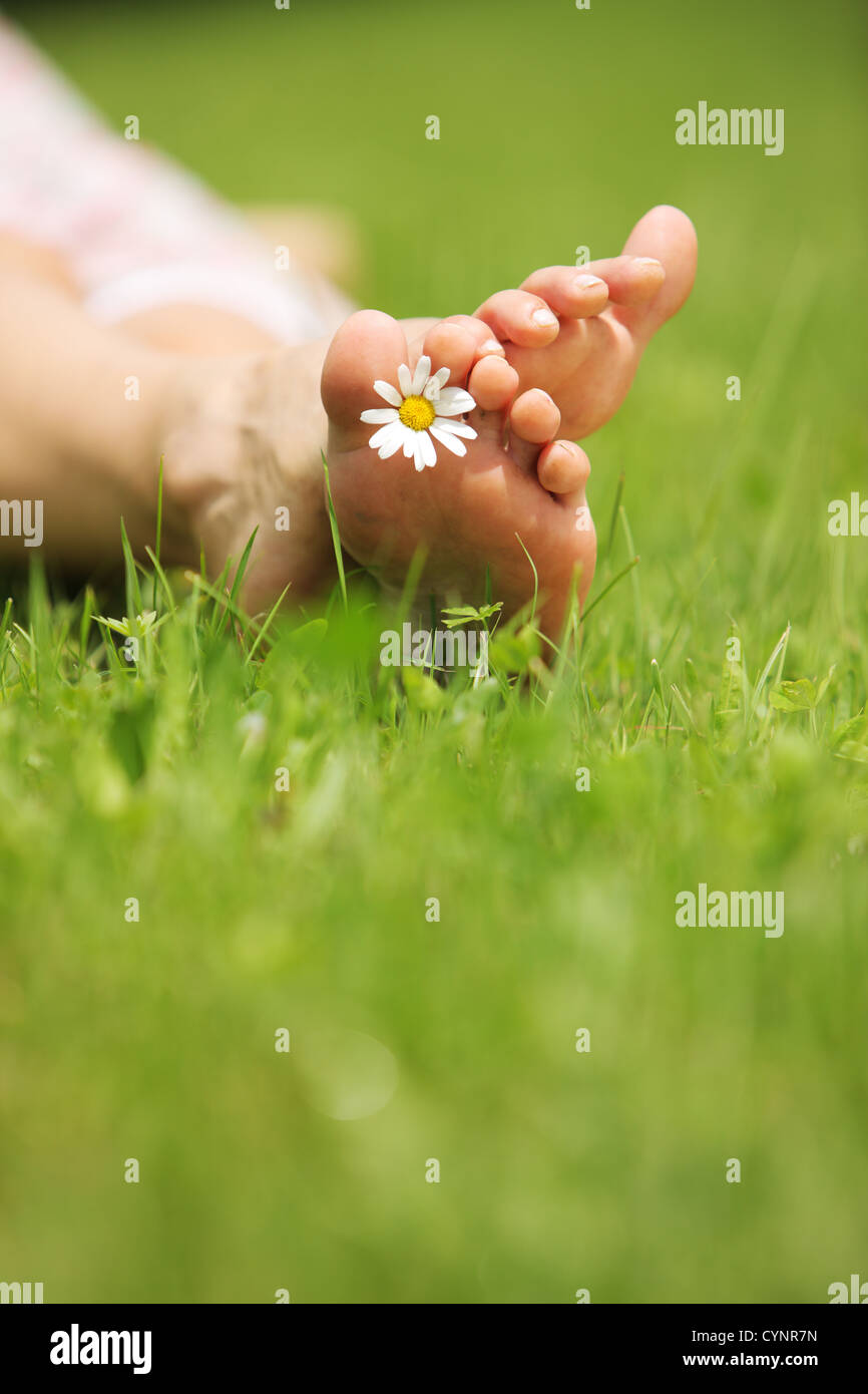 Daisy and bare feet on green grass, copy space Stock Photo - Alamy