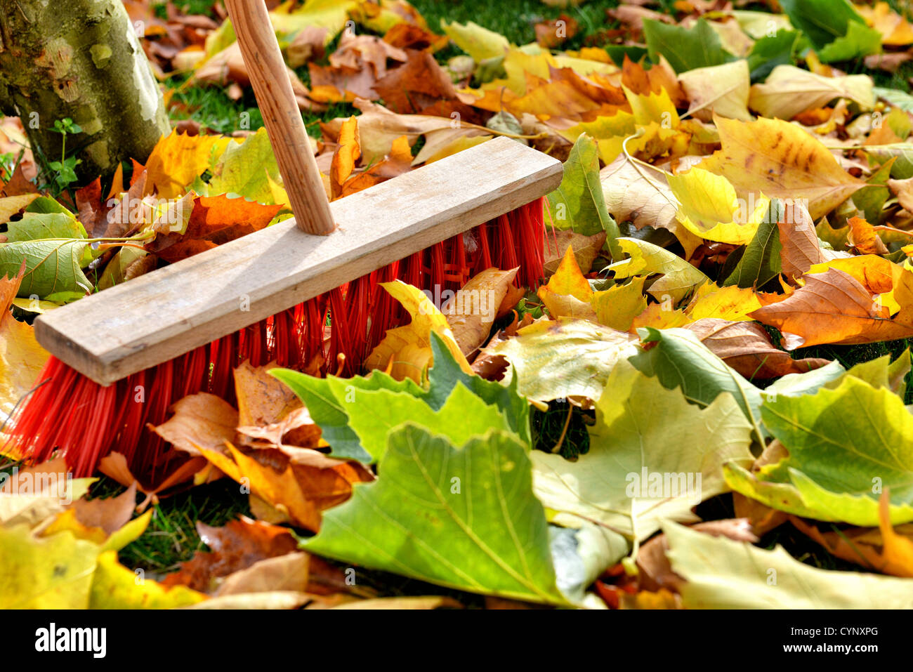 Sweeping Autumn Leaves High Resolution Stock Photography and Images Alamy